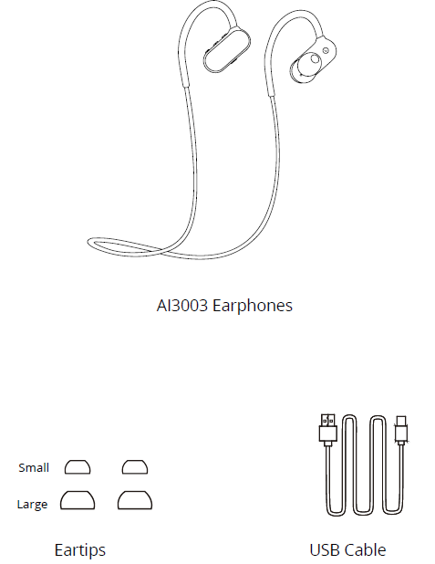 Aiwa Get Fit Wireless Earphones-WHAT’S INCLUDED
